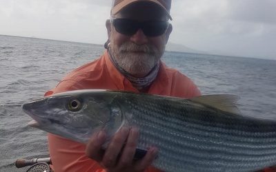 bonefish grenadines